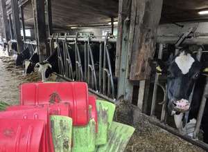 Bauernhof Gut Hixholz