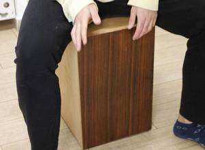 Baue Deine eigene Trommel (Instrumentenworkshop)