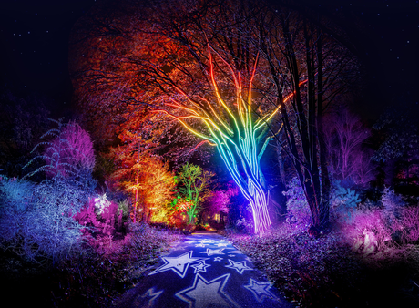 Christmas Garden im Botanischen Garten