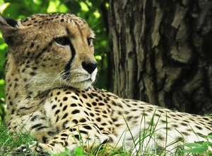  Abendführung durch den Zoo