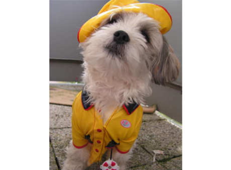 Zirkus Paletti - Kleinkindtheater