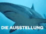 Im Tiefenrausch - Film unter Wasser