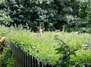 Mitmach-Garten – Permakultur zum Anpacken