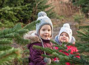 Weihnachtsmarkt auf dem Gut Clarenhof