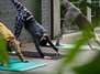Yoga für Anfänger