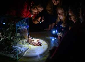 Taschenlampen-Führung durch das Aquarium im Zoo Köln
