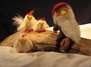 TOMTE TUMMETOTT