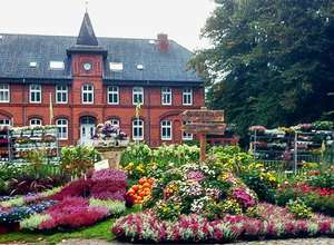 Landmarkt ... wie in alten Zeiten mit Pferde-Show und Live-Musik