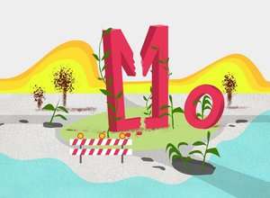 Aufbrechender Asphalt 