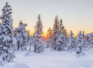 Kasperls Abenteuer im Winterwald