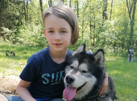 Husky-Erlebnistag – Mut, Teamspirit & Naturkraft