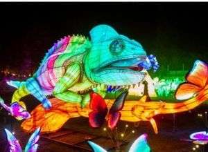 China Lights im Kölner Zoo