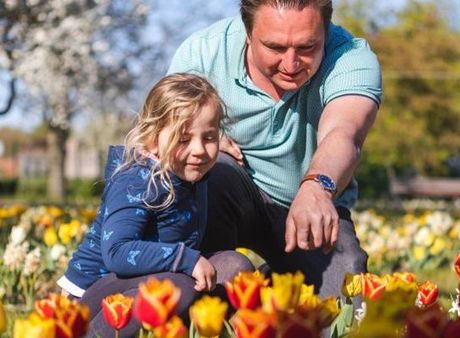 Tulipan im Britzer Garten