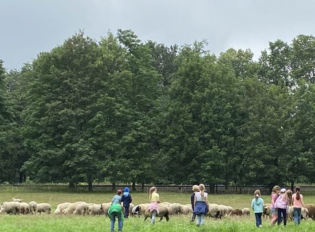 Regelmäßige Naturerlebnisse