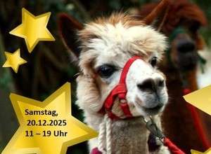 Weihnachtsmarkt bei Tieren in der Waldmühle 