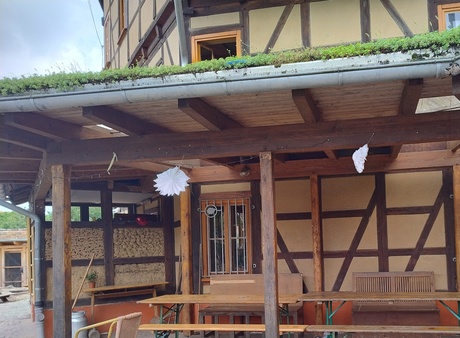 Pink & Pank aus zweiter Hand