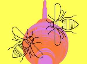 Wildbienen-Rallye in Berlin-Mitte