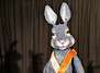 Der kleine Hase Moritz