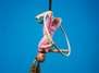 KINDERWORKSHOP Aerial Hoop und Silks