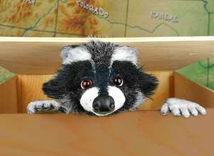 Rocky Waschbär "Apfelkuchendieb" -KinderTheaterFestival 2025