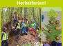 Ferienkurs: Waldabenteuer (1. Herbstwoche)