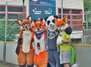 Fursuitwalk auf dem Schollenfest