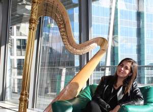 Musikunterricht in Frankfurt – Harfe, Violine und mehr!