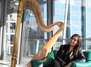 Musikunterricht in Frankfurt – Harfe, Violine und mehr!