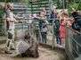 Zoofest