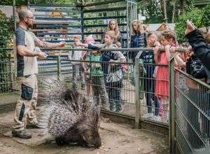 Zoofest