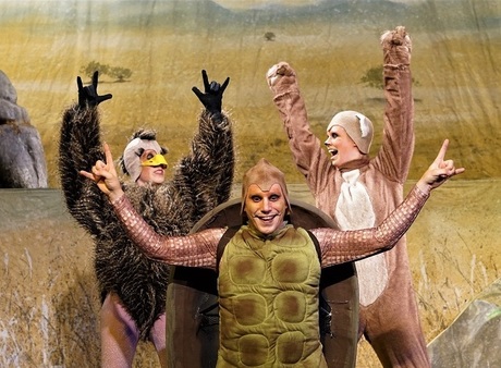 Eddi, das Erdmännchen