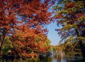 Herbstfest im Café Gans am Wasser
