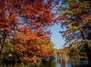 Herbstfest im Café Gans am Wasser