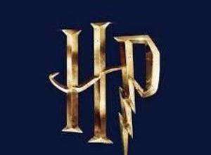 Harry Potter Day Camp