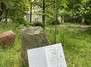 Nature Journaling am Parlament der Bäume