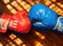 Tiger and Dragons - Eltern-Kind-Thaiboxen ab 4 Jahren