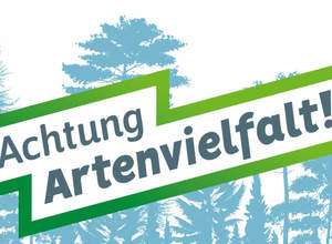 Achtung, kunterbunte Bastelvielfalt!