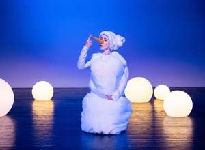 Schneekinds Reise zum Nordpol