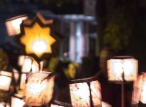 Alva im Land der Schatten - Interaktives Naturabenteuer