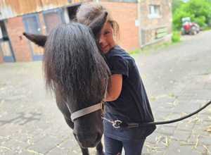 Einhornfest auf dem Ponyhof