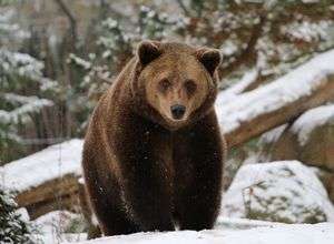 Advents-& Weihnachtstouren