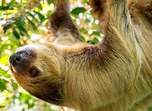 Kindergeburtstag im Zoo Berlin