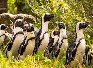Kindergeburtstag im Tierpark Berlin