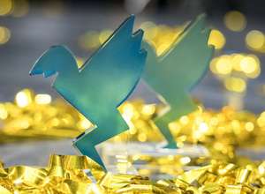 Vorhang auf für die IKARUS GALA 2025