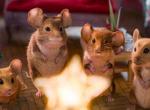 Mission: Mäusejagd - Chaos unterm Weihnachtsbaum