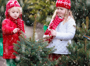 Weihnachtsbaum-Schmücken für Kids