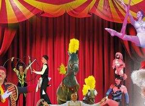 3. Haaner Weihnachtscircus 