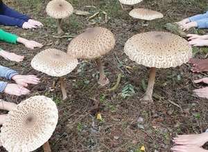 Schluftis Sommercamp im Biosphärenreservat