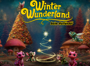 Winter Wunderland beim Holländer