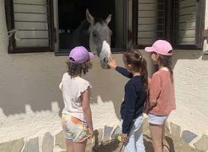 Wald, Wiese & Wilde Küche - Ferienprogramm